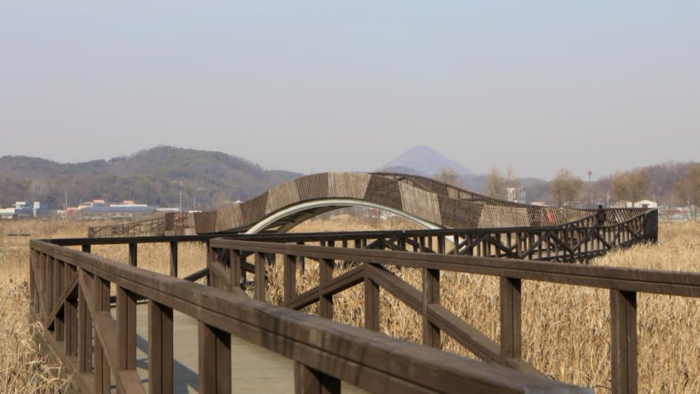 조금 특별한 봄맞이 _ 자전거 타고 보면 더 예쁜 곳 | 여행 플러스