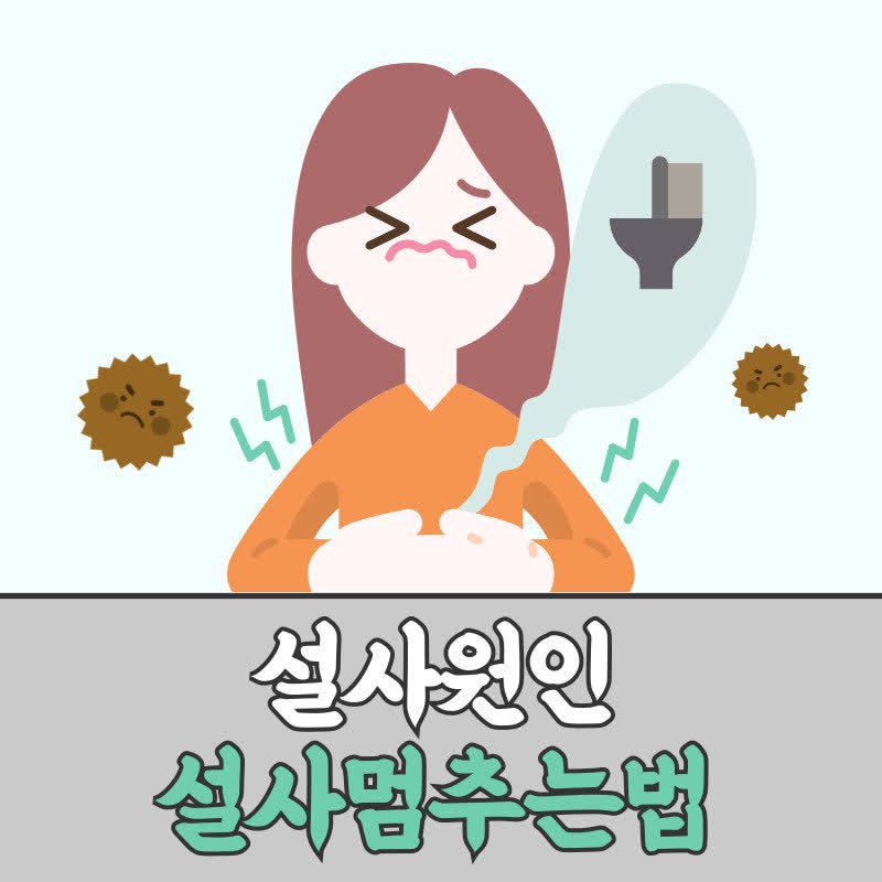 설사원인 설사멈추는법 식후 설사 물설사 멈추는법 지사제 | 스테이 건강