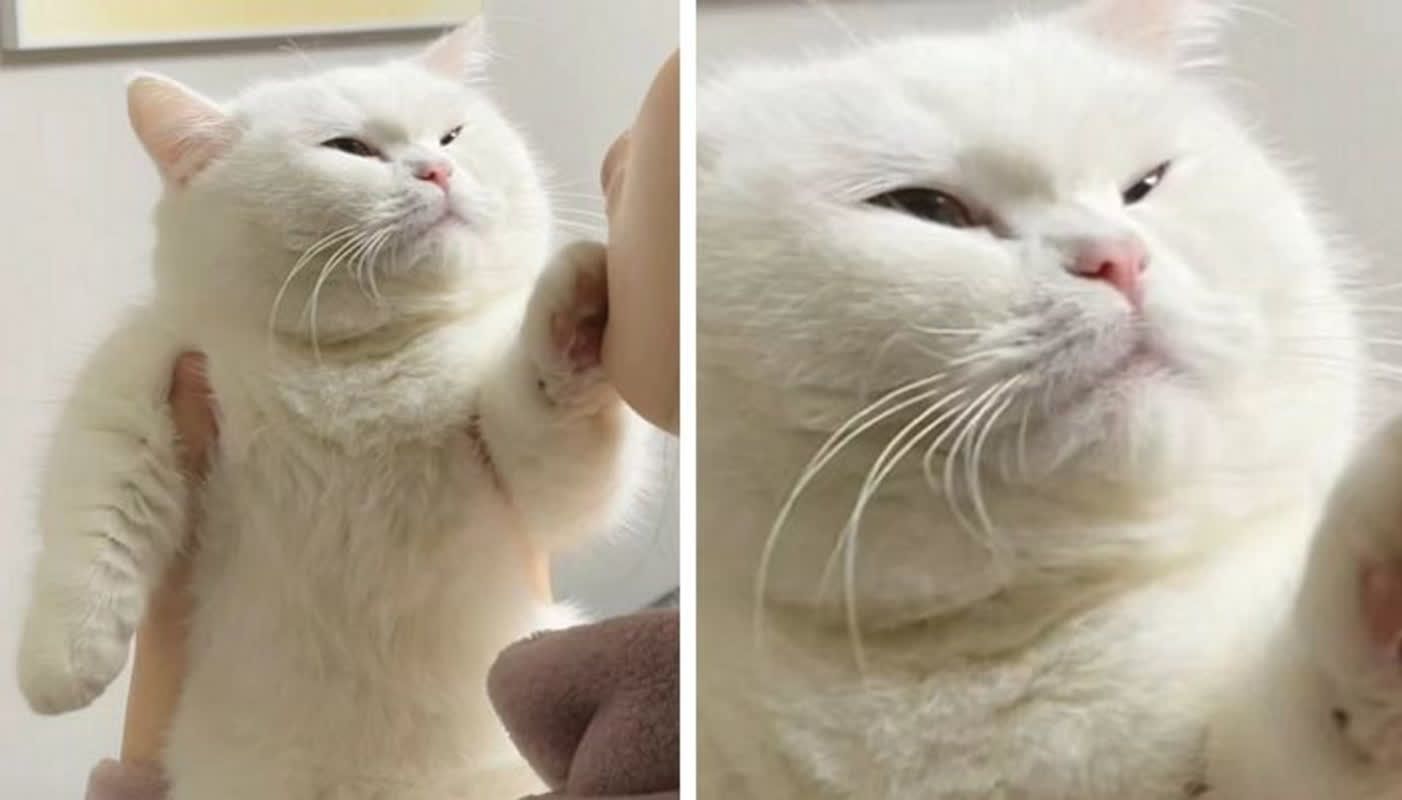 "Ik weet wat je wilt doen, maar doe het niet ~"... Een butler werd