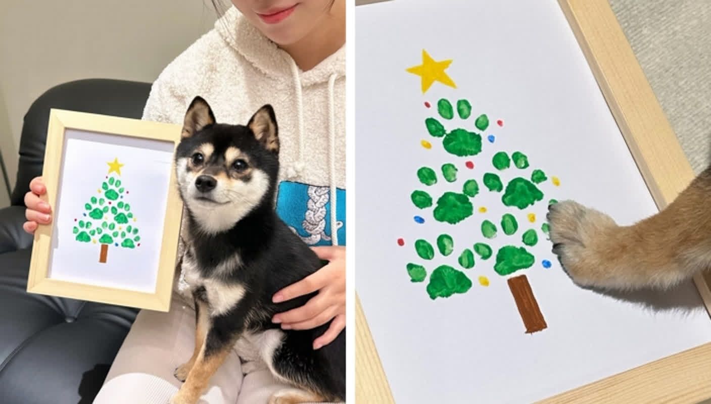 “Mijn hond heeft een prachtige foto gemaakt van een kerstboom met maar één voorpoot.”