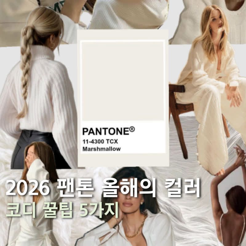 2026 팬톤 컬러 코디 꿀팁 5가지 | 뷰리진
